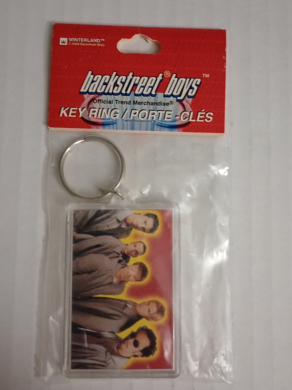 Winterland Backstreet Boys Key Ring Vintage Souvenir Keychain 2000